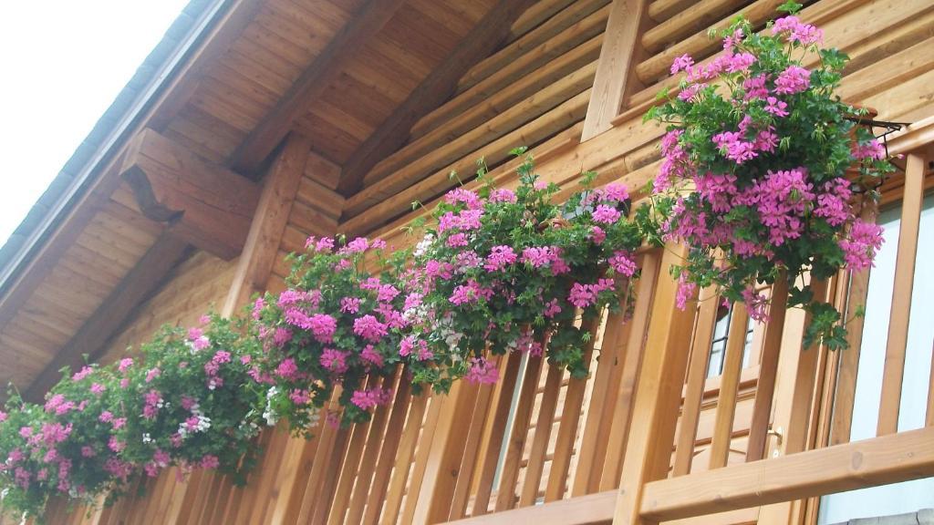Gresil Residence ชัมโปลุก ภายนอก รูปภาพ